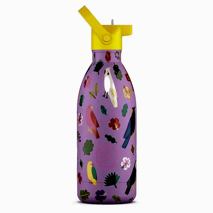 Cool Bottles Paslanmaz Çelik Suluk - The Kids Bottle Fly Free 500ml