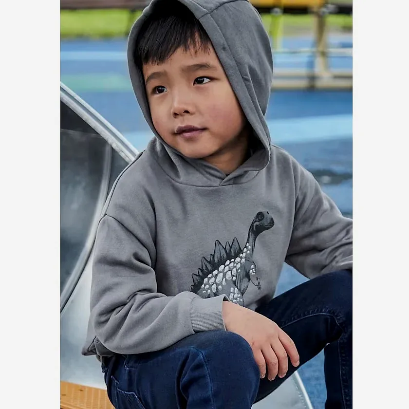 Mayoral Kışlık Erkek Uzun Kol Kapşonlu Sweatshirt Gri
