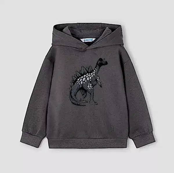 Mayoral Kışlık Erkek Uzun Kol Kapşonlu Sweatshirt Gri