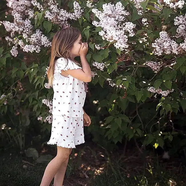 ANTEBİES Antebies Kız Çocuk Kısa Kollu Şortlu Organik Pijama Takımı- Uğur Böceği Ekru - Pijamalar