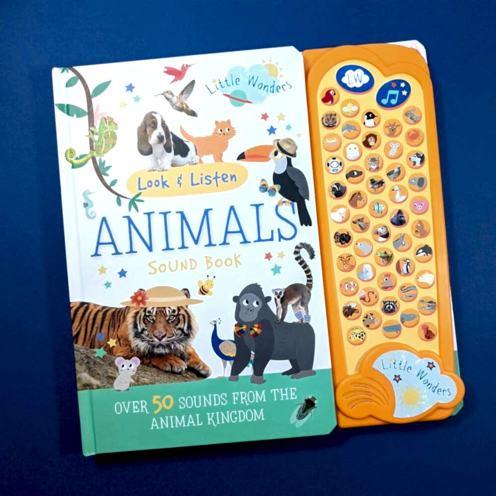 Look & Find Sound Book: Animals