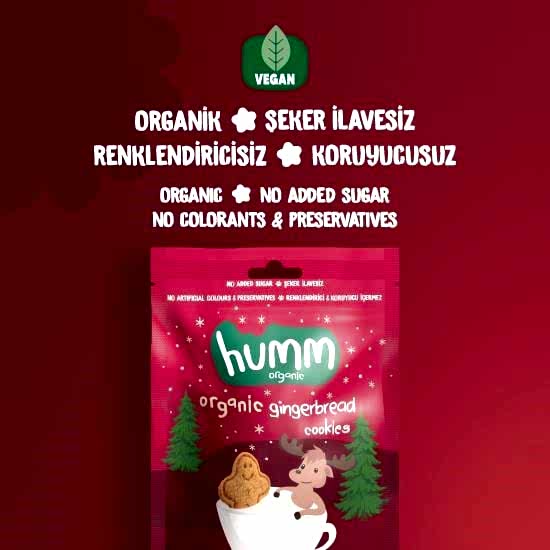 Humm Organik Kurabiye Tarçınlı ve Zencefilli 55 gr