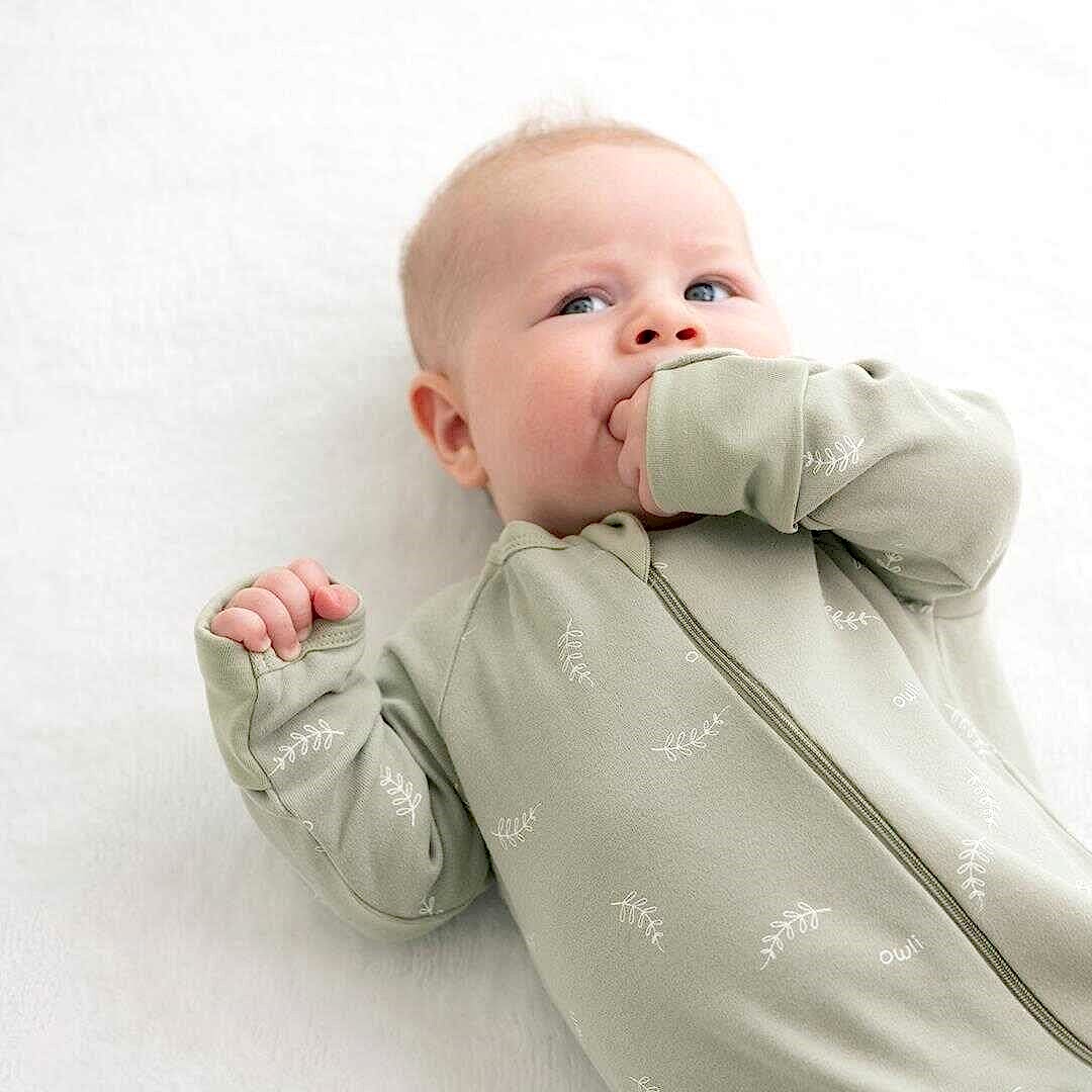 Owli Uyku Tulumu 0.2 Tog Leaves Mint