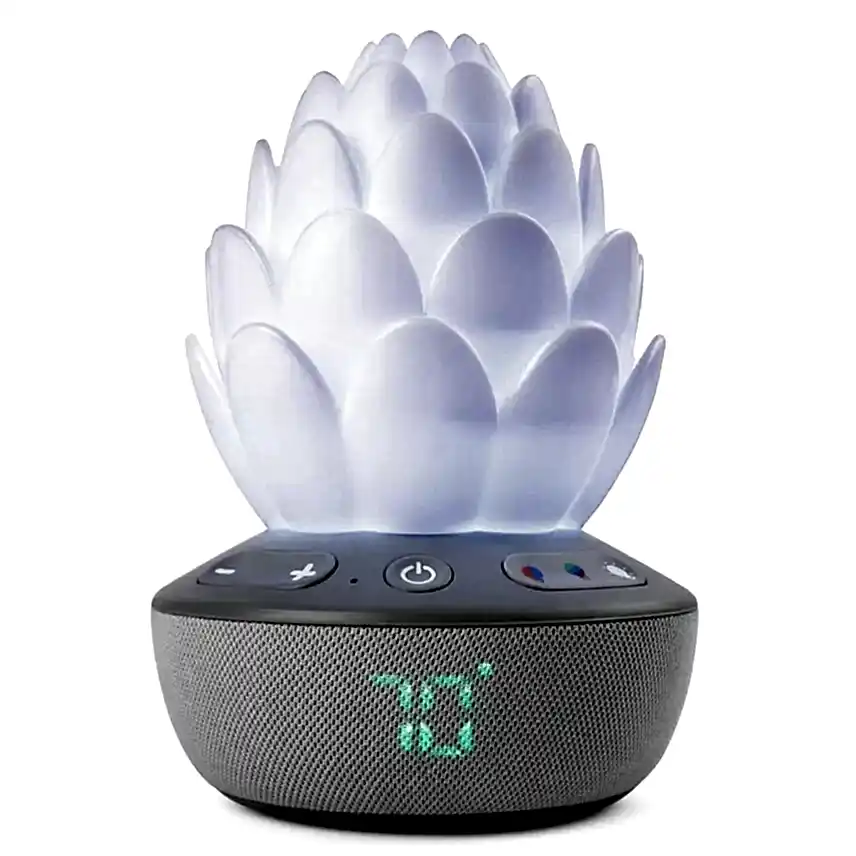 Skip Hop Terra Ağlama Sensörlü Baby Soother 0 Ay+