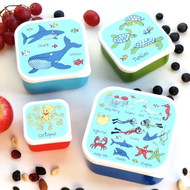 Tyrrell Katz 4'lü Atıştırma Kutusu Ocean